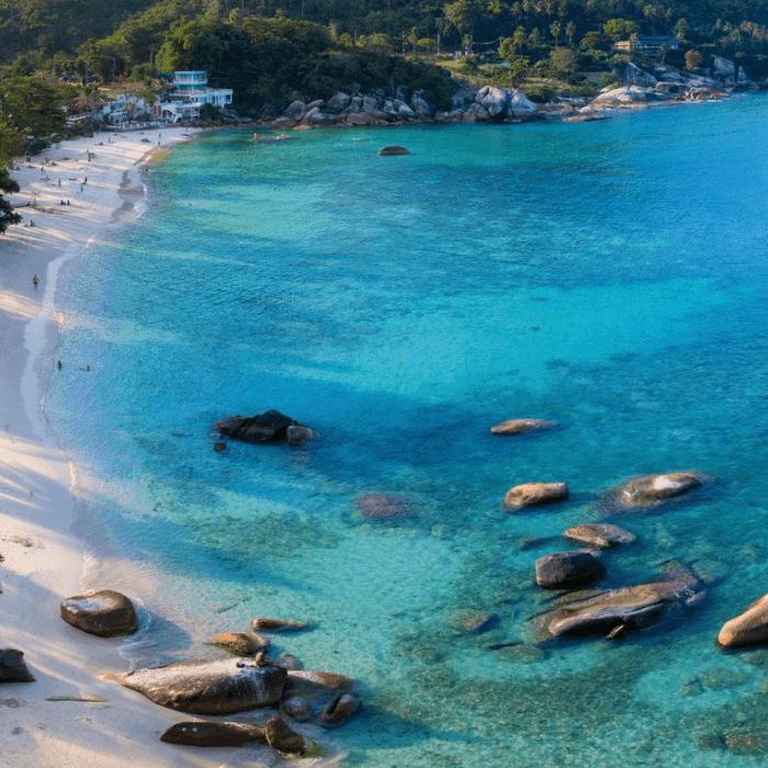 Dolphin and snorkeling adventures